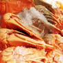 prawn
